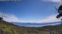 ./images/calvert/fitz-hugh-hecate/20250620/fitz-hugh-hecate20250620_123509M.jpg