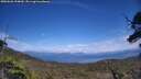 ./images/calvert/fitz-hugh-hecate/20250620/fitz-hugh-hecate20250620_154010M.jpg