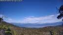 ./images/calvert/fitz-hugh-hecate/20250620/fitz-hugh-hecate20250620_160509M.jpg