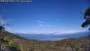./images/calvert/fitz-hugh-hecate/20250620/fitz-hugh-hecate20250620_170510M.jpg