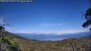 ./images/calvert/fitz-hugh-hecate/20250620/fitz-hugh-hecate20250620_171510M.jpg