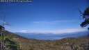 ./images/calvert/fitz-hugh-hecate/20250620/fitz-hugh-hecate20250620_172509M.jpg