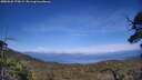 ./images/calvert/fitz-hugh-hecate/20250620/fitz-hugh-hecate20250620_175009M.jpg