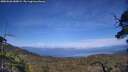 ./images/calvert/fitz-hugh-hecate/20250620/fitz-hugh-hecate20250620_180009M.jpg