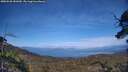 ./images/calvert/fitz-hugh-hecate/20250620/fitz-hugh-hecate20250620_181010M.jpg