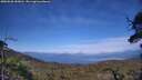 ./images/calvert/fitz-hugh-hecate/20250620/fitz-hugh-hecate20250620_183011M.jpg