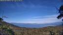 ./images/calvert/fitz-hugh-hecate/20250620/fitz-hugh-hecate20250620_184010M.jpg