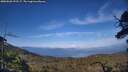 ./images/calvert/fitz-hugh-hecate/20250620/fitz-hugh-hecate20250620_191507M.jpg