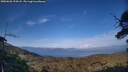 ./images/calvert/fitz-hugh-hecate/20250620/fitz-hugh-hecate20250620_194508M.jpg