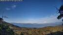 ./images/calvert/fitz-hugh-hecate/20250620/fitz-hugh-hecate20250620_195509M.jpg