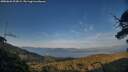 ./images/calvert/fitz-hugh-hecate/20250620/fitz-hugh-hecate20250620_203009M.jpg