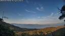 ./images/calvert/fitz-hugh-hecate/20250620/fitz-hugh-hecate20250620_205010M.jpg