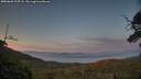 ./images/calvert/fitz-hugh-hecate/20250620/fitz-hugh-hecate20250620_215508M.jpg