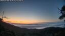 ./images/calvert/fitz-hugh-hecate/20250621/fitz-hugh-hecate20250621_044508M.jpg