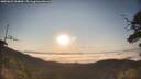 ./images/calvert/fitz-hugh-hecate/20250621/fitz-hugh-hecate20250621_064010M.jpg