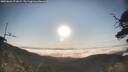 ./images/calvert/fitz-hugh-hecate/20250621/fitz-hugh-hecate20250621_071009M.jpg
