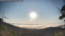./images/calvert/fitz-hugh-hecate/20250621/fitz-hugh-hecate20250621_071510M.jpg