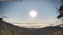 ./images/calvert/fitz-hugh-hecate/20250621/fitz-hugh-hecate20250621_072509M.jpg