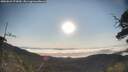 ./images/calvert/fitz-hugh-hecate/20250621/fitz-hugh-hecate20250621_073010M.jpg