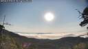 ./images/calvert/fitz-hugh-hecate/20250621/fitz-hugh-hecate20250621_074508M.jpg