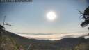 ./images/calvert/fitz-hugh-hecate/20250621/fitz-hugh-hecate20250621_075509M.jpg