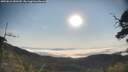 ./images/calvert/fitz-hugh-hecate/20250621/fitz-hugh-hecate20250621_080510M.jpg