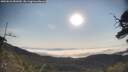 ./images/calvert/fitz-hugh-hecate/20250621/fitz-hugh-hecate20250621_081009M.jpg