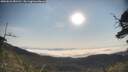 ./images/calvert/fitz-hugh-hecate/20250621/fitz-hugh-hecate20250621_081511M.jpg