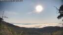 ./images/calvert/fitz-hugh-hecate/20250621/fitz-hugh-hecate20250621_082509M.jpg