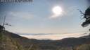 ./images/calvert/fitz-hugh-hecate/20250621/fitz-hugh-hecate20250621_083509M.jpg