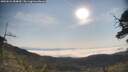 ./images/calvert/fitz-hugh-hecate/20250621/fitz-hugh-hecate20250621_084010M.jpg