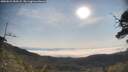 ./images/calvert/fitz-hugh-hecate/20250621/fitz-hugh-hecate20250621_084508M.jpg