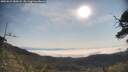 ./images/calvert/fitz-hugh-hecate/20250621/fitz-hugh-hecate20250621_085008M.jpg