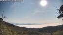 ./images/calvert/fitz-hugh-hecate/20250621/fitz-hugh-hecate20250621_091510M.jpg