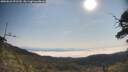 ./images/calvert/fitz-hugh-hecate/20250621/fitz-hugh-hecate20250621_092510M.jpg
