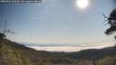 ./images/calvert/fitz-hugh-hecate/20250621/fitz-hugh-hecate20250621_093010M.jpg