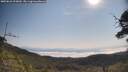 ./images/calvert/fitz-hugh-hecate/20250621/fitz-hugh-hecate20250621_095009M.jpg