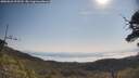 ./images/calvert/fitz-hugh-hecate/20250621/fitz-hugh-hecate20250621_095510M.jpg