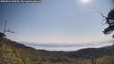 ./images/calvert/fitz-hugh-hecate/20250621/fitz-hugh-hecate20250621_100509M.jpg