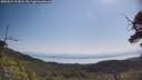 ./images/calvert/fitz-hugh-hecate/20250621/fitz-hugh-hecate20250621_103010M.jpg