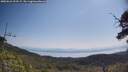 ./images/calvert/fitz-hugh-hecate/20250621/fitz-hugh-hecate20250621_103509M.jpg