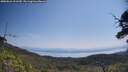./images/calvert/fitz-hugh-hecate/20250621/fitz-hugh-hecate20250621_111510M.jpg