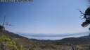 ./images/calvert/fitz-hugh-hecate/20250621/fitz-hugh-hecate20250621_114510M.jpg