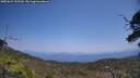 ./images/calvert/fitz-hugh-hecate/20250621/fitz-hugh-hecate20250621_135509M.jpg