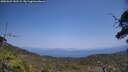 ./images/calvert/fitz-hugh-hecate/20250621/fitz-hugh-hecate20250621_141509M.jpg