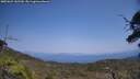 ./images/calvert/fitz-hugh-hecate/20250621/fitz-hugh-hecate20250621_142510M.jpg
