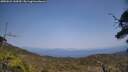 ./images/calvert/fitz-hugh-hecate/20250621/fitz-hugh-hecate20250621_144510M.jpg