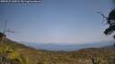 ./images/calvert/fitz-hugh-hecate/20250621/fitz-hugh-hecate20250621_145008M.jpg