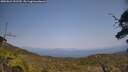 ./images/calvert/fitz-hugh-hecate/20250621/fitz-hugh-hecate20250621_151509M.jpg