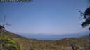 ./images/calvert/fitz-hugh-hecate/20250621/fitz-hugh-hecate20250621_154010M.jpg